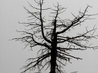 DSCN3772