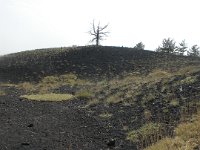 DSCN3773