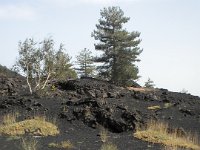 DSCN3776