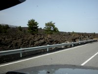 DSCN3784