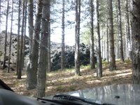 DSCN3807