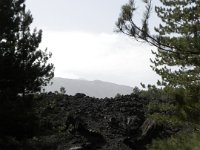 DSCN3814