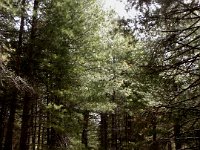 DSCN3827