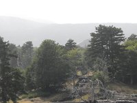 DSCN3835