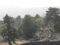 DSCN3836