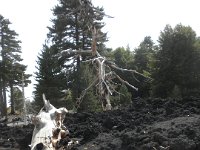 DSCN3841