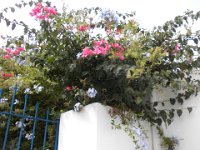 DSCN3863