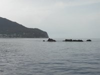 DSCN3879