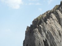 DSCN3923