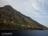 DSCN3932
