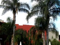DSCN4076
